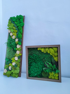 Stabiliseeritud sammal, samblapilt, ECO dekoor. (6 foto / 9)