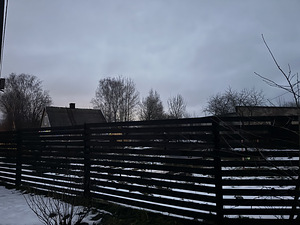 Lemmikloomade viibimine ja hooldus + koduvisiit (2 foto / 7)
