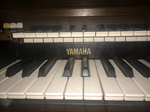 YAMAHA elektriline orel (4 foto / 6)