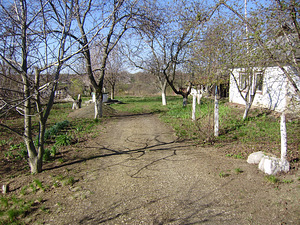 Оселя (2 фото з 8)