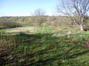 Оселя (8 фото з 8)
