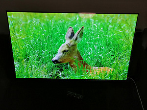 55" LG OLED teler 4K UHD (4 foto / 8)