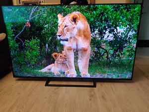 65" Hisense 4K UHD teler SmartTV (1 foto / 7)