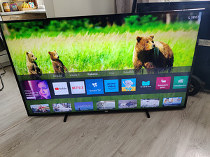 65" Philips 4K UHD teler SmartTV (3 foto / 6)