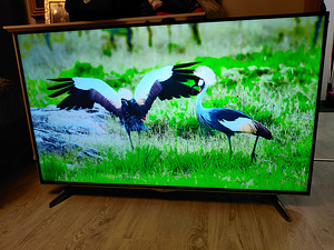 55" JVC 4k UHD teler SmartTV (2 foto / 6)