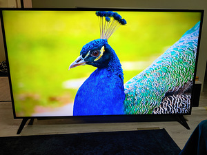 75" LG 4k UHD teler SmartTV (1 foto / 6)