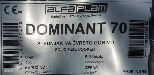 Печь Alfa Plam Dominant 70 (фото #2)