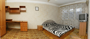 1-комнатная квартира Пушкина