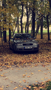 Audi A4 3.0 SPORT QUATTRO (7 foto / 7)