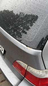 530D E61 Individual (9 фото из 9)