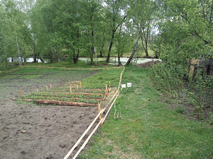Дом (2 фото з 6)