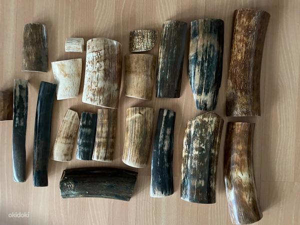 Valmis materjal Jakuutiast pärit 1, 2, 3 sorti mammutite kihvadest (foto #3)