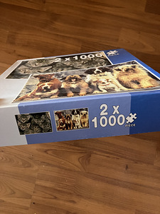 Suur mõistatus :kassid ja koerad (3 foto / 4)
