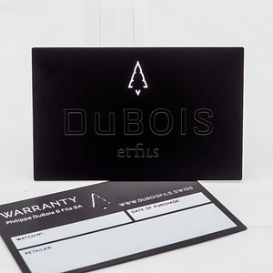 DuBois et Fils automatic DBF003-08 (9 foto / 10)