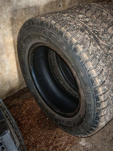Naastrehvid 195/65/R15 Wolf 91T (2 foto / 2)