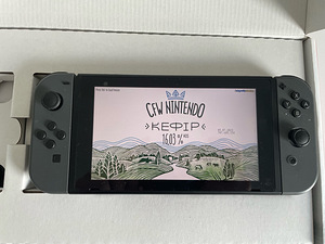 Nintendo Switch CFW Free Games + 64GB MicroSD (2 foto / 3)