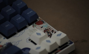 Keyboard - Varmilo Lovebirds Yang (Cherry MX Brown, US) (7 foto / 10)