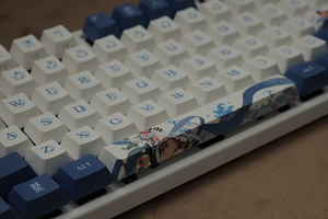 Keyboard - Varmilo Lovebirds Yang (Cherry MX Brown, US) (8 foto / 10)