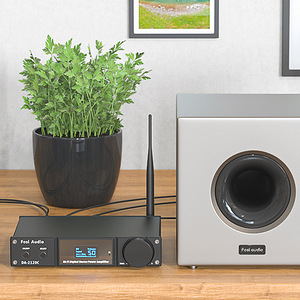 Fosi Audio DA2120C 2.1 Ch Integrated Amplifier (6 foto / 6)
