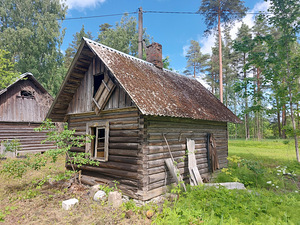 Бревенчатая сауна (3 фото из 9)