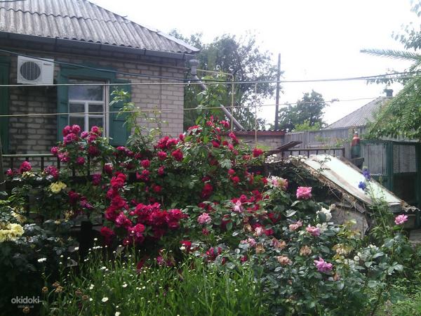 Дом в г.Попасная Луганской области (фото #5)