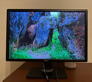 Dell UltraSharp U2412M (2 foto / 6)