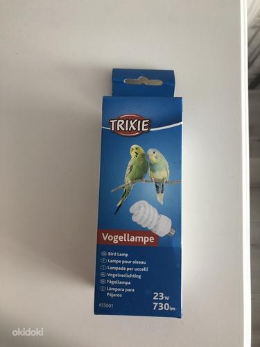 Trixie lamp papagoidele. Uus (foto #1)