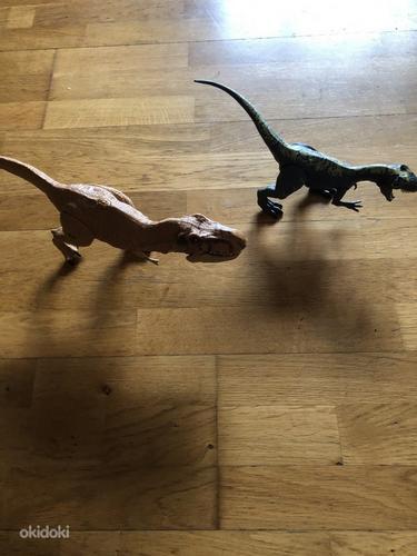 Dinosaurused (foto #2)