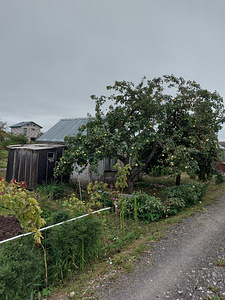 Sputniku AÜ 629, Sillamäe, Ida-Virumaa (6 foto / 14)
