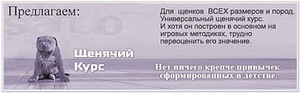 Консультації кінолога (2 фото з 2)