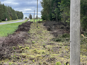 Metsatöö/ Liinihooldus (1 foto / 1)