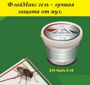 ФлайМакс гель - средство для уничтожения мух