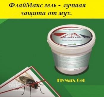 ФлайМакс гель - засіб для знищення мух (фото #1)