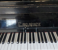 Smolensk klaver