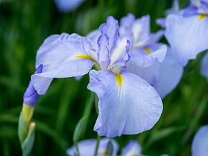 Новый Olympus OM-D E-M5 (6 фото из 8)