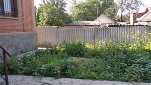 Прибирання городів, ділянок, території у Донецьку