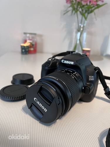 Canon EOS 250D + EF-S 18–55 мм IS II + EF 75–300 мм III (фото #4)