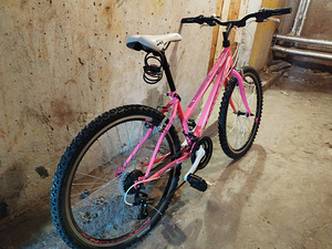 Naiste jalgratas 26" (2 foto / 6)