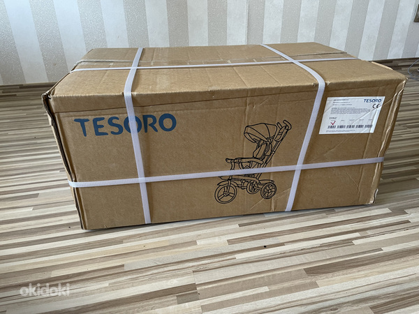 Трехколесный велосипед Tesoro Baby BT-10 (фото #3)