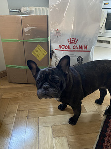 Royal Canin Veterinary Dog - Hepatic HF 16 (1 foto / 2)