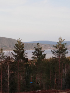 Otsin tööd farmis, eraisikud, tootmine (1 foto / 1)