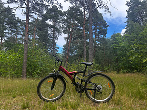 Jalgratas koos muddyfox 200 pump (1 foto / 6)
