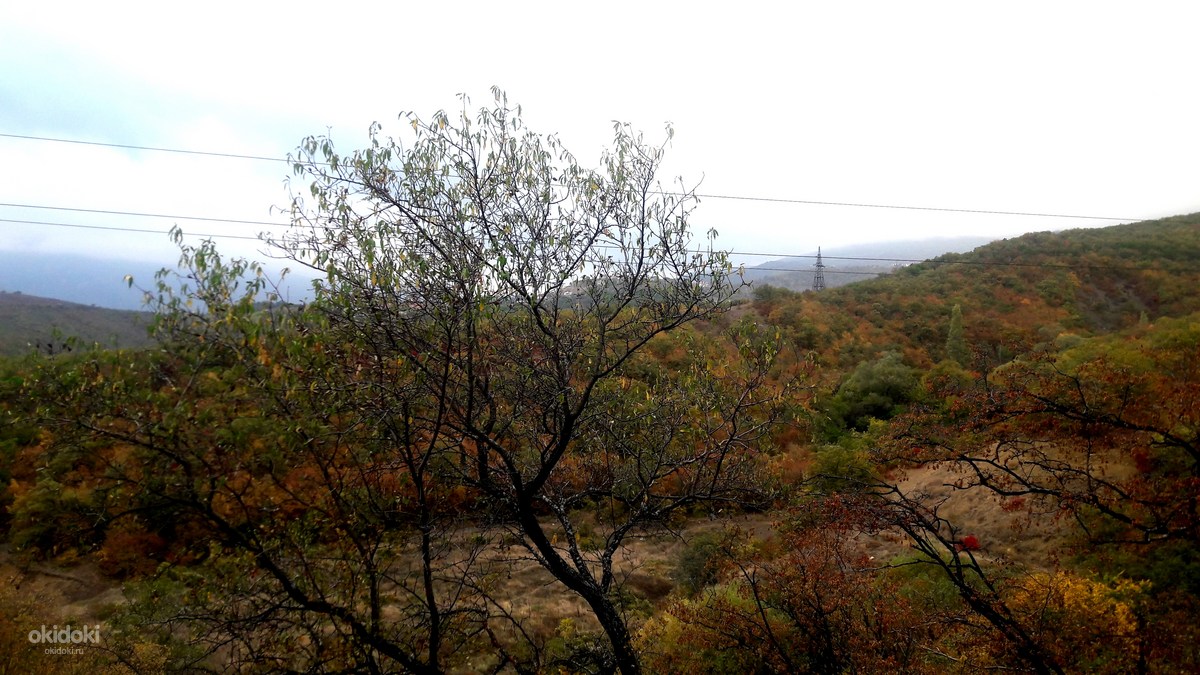Купить Участок Нижняя Кутузовка Алушта
