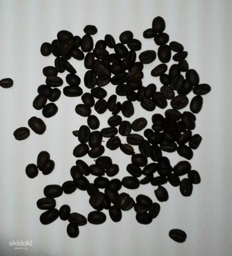 Кофе в зернах Casher  Арабика Эфиопия Джимма (фото #1)