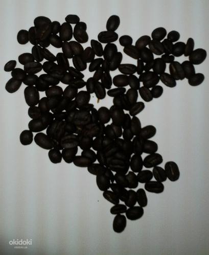 Кофе в зернах Casher Арабика Эфиопия Йоргачеф (фото #1)