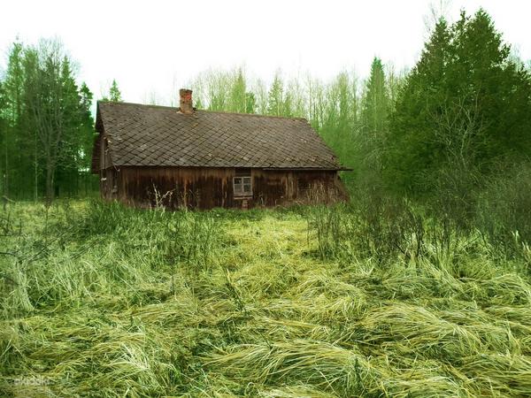 Maa + talu privaatses kohas järelmaksu võimalus (foto #1)