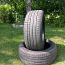 Летняя резина Pirelli Cinturato (фото #1)