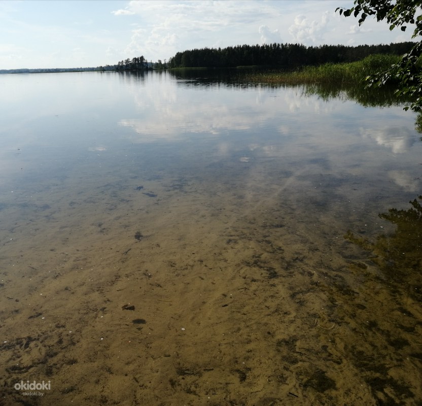 Домик Князя отдых браславские озера (фото #3)