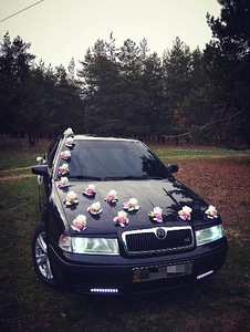 Прокат авто на свадьбу Skoda (2 фото из 3)