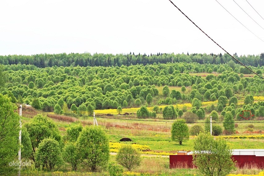 Яхрома ривер план участков